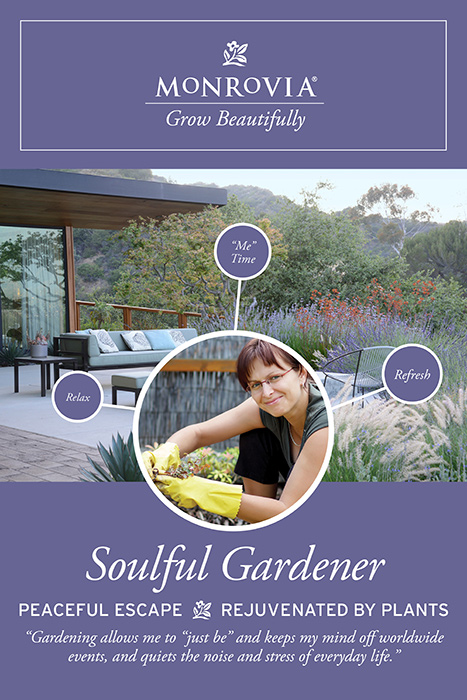 Light green poster reads Soulful Gardener, peaceful escape, rejuvenated by plants