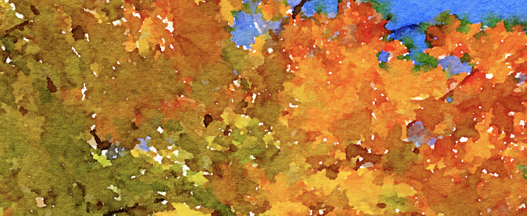 It’s Fall