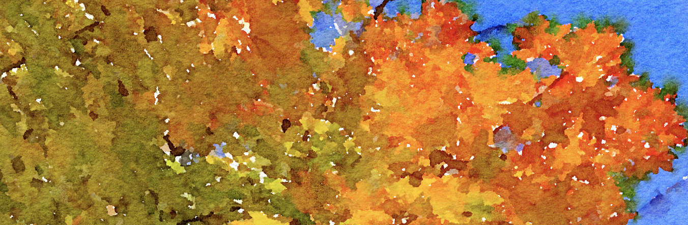 watercolor maple tree in fall colors of orange, red, yellow Header
